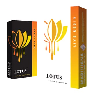 Jack Herer by Lotus Extracts
