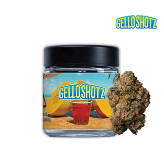 Gello Shotz by Seed Junky Genetics