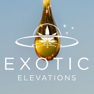 Black Widow by Exotic Elevations