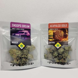 Amnesia Haze by Pioneer Nuggets