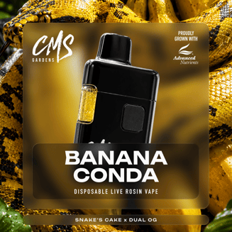 cms gardens disposable vape Bananaconda - 2g Live Rosin — Choose Flavor:Orange Passion Mango Replacement Coil Geek Bar Constellation Flavors:
