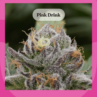 Pink Drink by Dewey Cannabis Co.