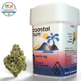 Coastal Sun — Paris OG