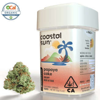 Coastal Sun — Papaya Cake