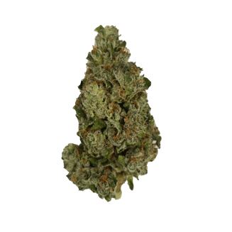 Kabuki Sour (Small Bud) by Vireo