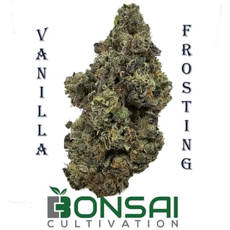 Vanilla Frosting by Bonsai Cultivation