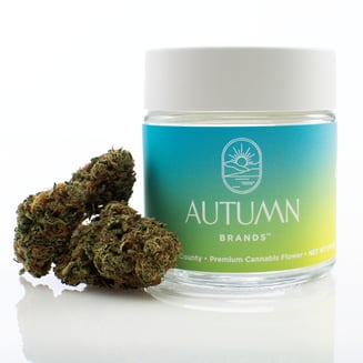 Autumn Brands — Blue Dream