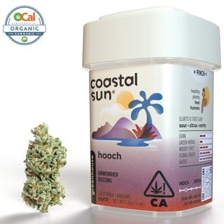 Coastal Sun: Hooch