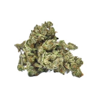 Solful Handpicked: Terrapin Glue