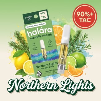 Halara — Northern Lights