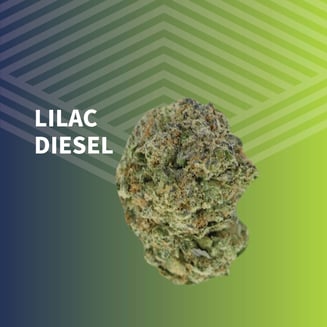 Value Lilac Diesel by Pure Dakota