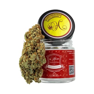 Super Lemon Haze by High Ambitions