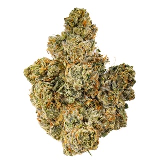 West Coast Cure — One-og