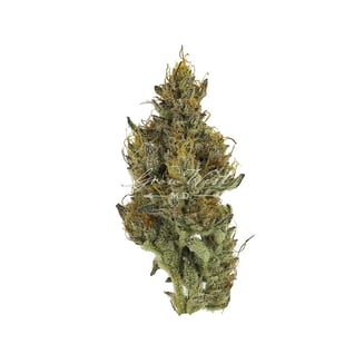 Goat Piss by Grow West