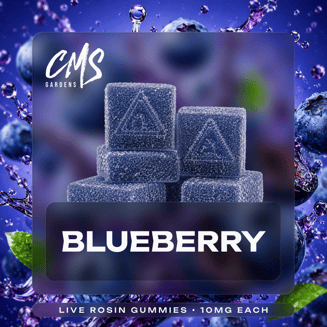 Blueberry [10pk] (100mg)