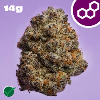 Jelly Roll 14g 42064 by Theraplant