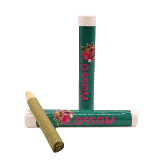 Amnesia Haze [1.2g] by Blossom