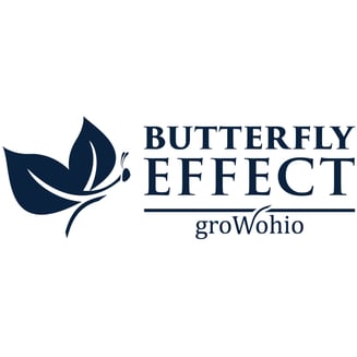 Zahiti Triangle [28.3g] by Butterfly Effect