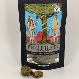 Prophet Cannabis — Bluephoria