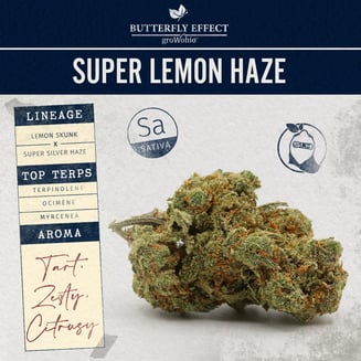 Super Lemon Haze by Butterfly Effect