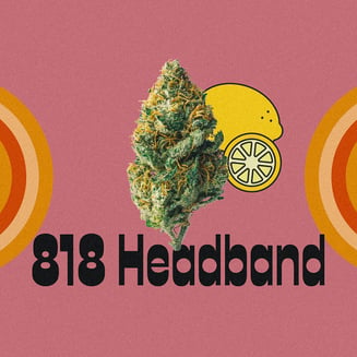 818 Headband - Limited Edition by Skymint