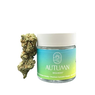 Autumn Brands — Mango Haze