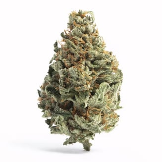 FloraCal™ — White Lobster