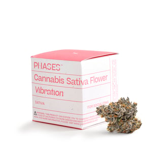 PHASES — Hawaiian Headband