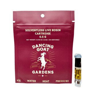 Silver Queen by Dancing Goat Gardens
