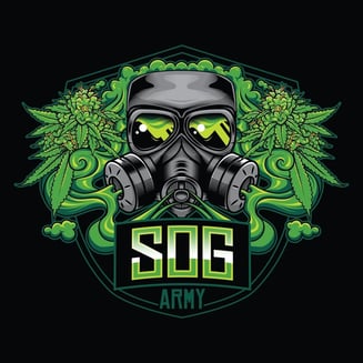 Amnesia Haze by SOG Army
