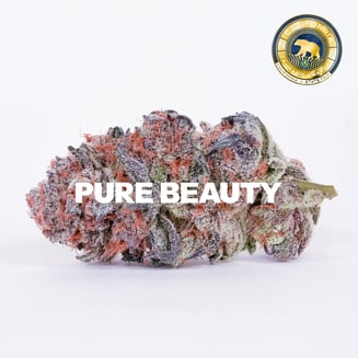 Pure Beauty — Gush Mints