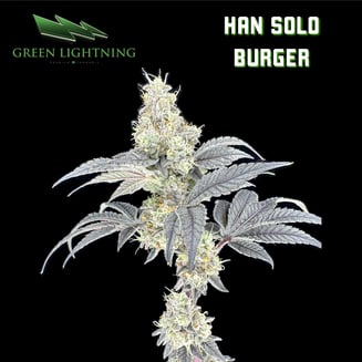 Han Solo Burger by Green Lightning
