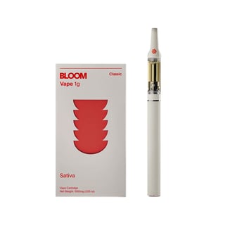 BLOOM: Pink Mimosa