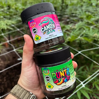 Animal Tsunami by Zen Cannabis - WA