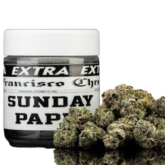 Turtle Pie: Sunday Paper