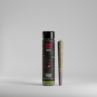 BCC x Jealousy by 22Red
