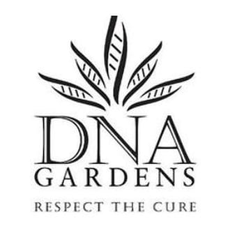 Chocolate Ice Cream by DNA Gardens