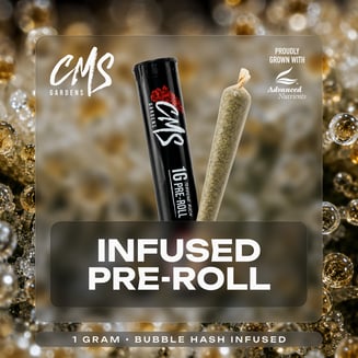 Baby Yoda [1g]