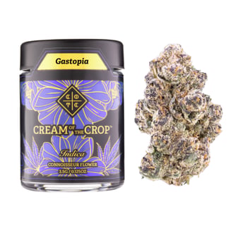 CREAM OF THE CROP — Gastopia