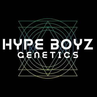 Kaleidoscope Eyes by Hype Boyz Genetics