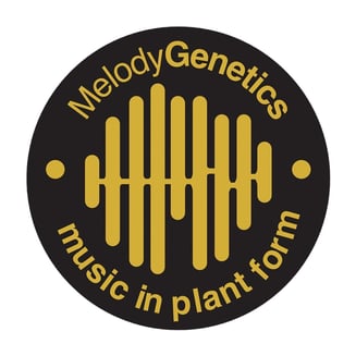 2 AM by Melody Genetics