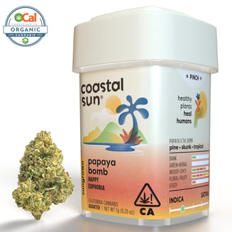 Coastal Sun — Papaya Bomb
