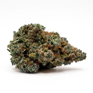 Tamarindo by Flower Foundry