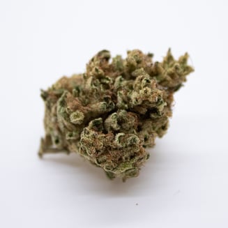 Banana Cream by Minerva Canna