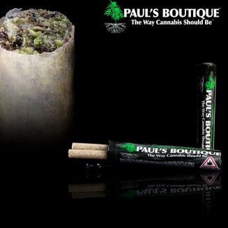 African Orange 2 [.5g] by Paul's Boutique