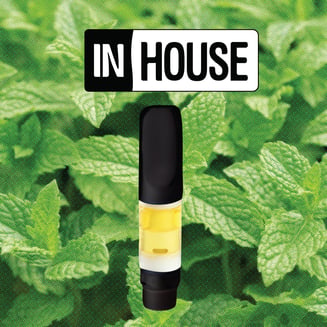 1:1 Cool Mint by InHouse