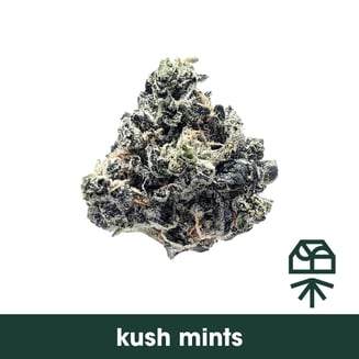 Grassroots Whole Flower 3.5g Triple Mints (I) 01954 TC 34.738% by Grassroots