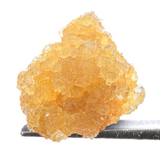 West Coast Cure — Strawberry Jack