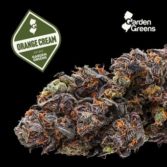 Orange Cream by Garden Greens