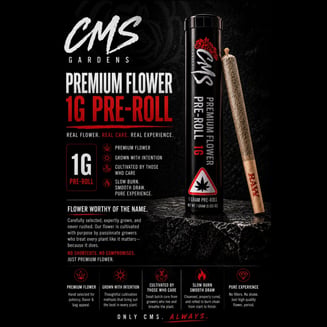 K-Dynamite [1g] by CMS Gardens